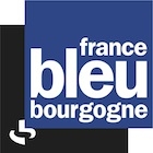 f-bleu-bourgogne